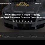 №1 Innovative Auction (f1rst.auction отзывы)